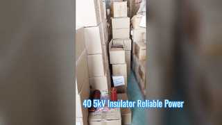 Более пристальный взгляд: изолятор из эпоксидной смолы высокого напряжения, 40,5 кВ, защитные втулки, высота 660 мм
