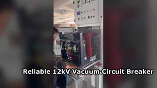 Представляем вам вакуумный автоматический выключатель высокого напряжения 12 кВ для внутреннего монтажа с боковым креплением 630A-1250A