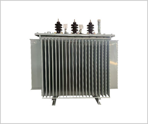 11kv/800kVA Трехфазный трансформатор мощности, погруженный в масло